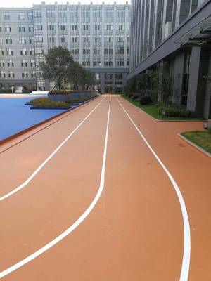 塑膠跑道橡膠顆粒 幼兒園EPDM彩色環保橡膠顆粒面層材料品牌解析